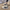 WW | Orthopädische Damenschuhe