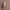 WW | Luxuriöses Hoher Hals Halter Raffung Seite Schlitz Satin Maxikleid Abendkleid