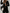 WW | Taillierter Trenchcoat für Damen