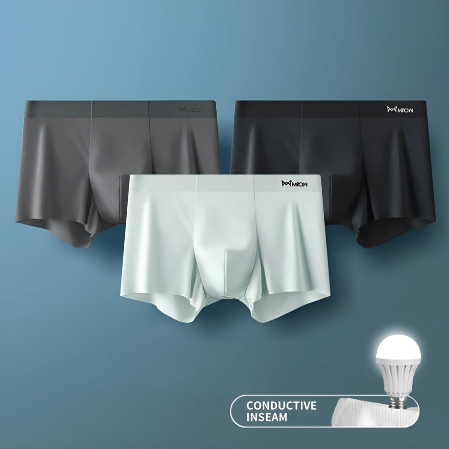 WW | Nahtlose Boxershorts Für Herren Leicht & Bequem