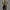 WW | Herren-Trenchcoat mit stilvollem Kragen