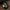 WW | Robustes Armband Aus Echtleder Mit Schnalle