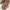 WW | Flache Sommer Blumen Sandalen