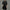 WW | Herren-Trenchcoat mit stilvollem Kragen