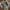 WW | Lässige Multifunktions Grüne Militärjacke Für Männer