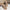 WW | Flache Sommer Blumen Sandalen