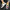 WW | Skater Sneaker Streetwear Stil Mit Komfort