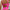 WW | Einteiler Transparent