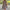 WW | V-ausschnitt Leinenkleid Für Damen