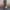 WW | Maxi Denim Kleid Für Damen
