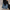 WW | Große Damen Leder Schultertasche Handtasche Shopper Burgunderrot