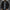 WW | Herren Leichte Bomberjacke – Lässiger Windbreaker