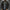 WW | Herren Leichte Bomberjacke – Lässiger Windbreaker