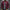 WW | Herren Leichte Bomberjacke – Lässiger Windbreaker