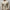WW | Men's Muscle Fit Autumn Sweater