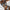 WW | Metallic Mesh Panel Hohe Beinausschnitt Freche Ein Schulter Brasilianischer Einteiler Badeanzug