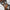 WW | Metallic Mesh Panel Hohe Beinausschnitt Freche Ein Schulter Brasilianischer Einteiler Badeanzug