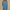 WW - Damen Basic Shirt Mit Rundhalsausschnitt