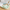 WW | Weiche Bequeme Strandslipper