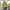 WW | Geschnittener Smile Hoodie Für Frauen