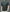 ZILK T-SHIRT