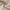 Overall aus locker gebundenem Polyester und Elasthan