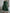 WW | Elegantes Hemdblusen-Maxi-Kleid mit Gürtel für Damen