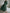 WW | Elegantes Hemdblusen-Maxi-Kleid mit Gürtel für Damen