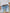 WW | Multi Knopf-Druck Denimshorts