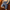 WW | All in One Cargo Shorts Praktische Verwendung Maximale Haltbarkeit
