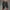 WW | All in One Cargo Shorts Praktische Verwendung Maximale Haltbarkeit