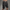 WW | All in One Cargo Shorts Praktische Verwendung Maximale Haltbarkeit