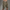 WW | All in One Cargo Shorts Praktische Verwendung Maximale Haltbarkeit