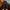 WW | All in One Cargo Shorts Praktische Verwendung Maximale Haltbarkeit