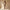 WW | Strapless Damen Jumpsuit