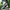 WW | Outdoor Schuhe Herren Schwarze