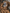WW | Herren Robuster Overall Arbeitskleidung