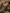 WW | Herren Robuster Overall Arbeitskleidung