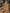 WW | Herren Robuster Overall Arbeitskleidung