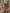 WW | Herren Robuster Overall Arbeitskleidung