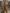 WW | Herren Robuster Overall Arbeitskleidung