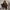 WW | Strickjacke Mit Schleifen