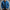 WW | Denim Jack Herren Stilvolle Jeansjacke Lässige & Trendige Looks