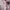 WW | Stylisches Set aus Leinen