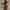 WW | Bikini Blumenmuster Push Up