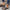 WW | Blumen Slipper Mit Schnalle