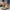 WW | Blumen Slipper Mit Schnalle