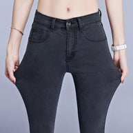 WW | Designer-Stretch-Jeans