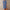 WW - Kleid aus Midi-Länge für Frauen