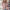WW | Kurze Strickjacke